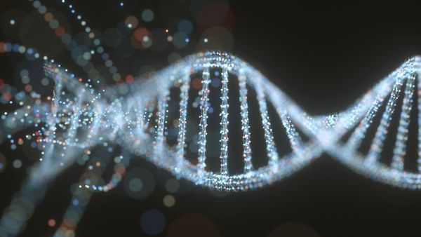Exploring the Possibilities of DNA Data Storage