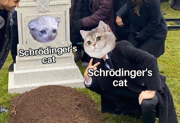 Schrödinger's Cat: Examining the Concept of Superposition in Quantum Mechanics