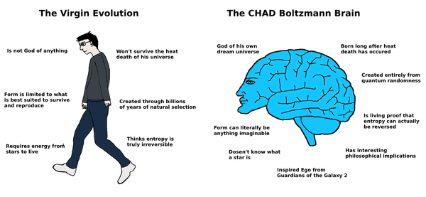 The Boltzmann Brain Paradox